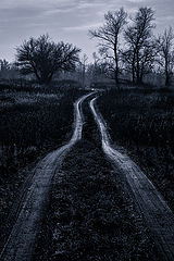 photo "***"