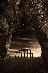 photo "***"