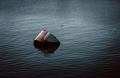 photo "спокойствие"