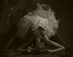 photo "Krivitskiy"