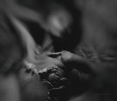 photo "Krivitskiy"