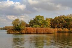 фото "Краски осени ."