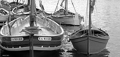 photo "boats"