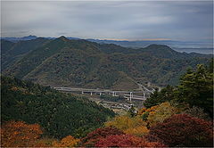 photo "***"