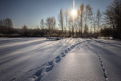 фото "Старый знакомый"