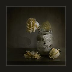 photo "***"