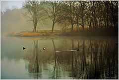 photo "***"