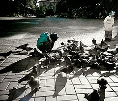 фото "***"