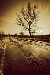фото "***"