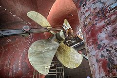 фото "Из жизни винтов"