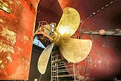 фото "Из жизни винтов II"