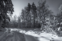 фото "Снежный путь"