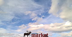 фото "Sky_2"