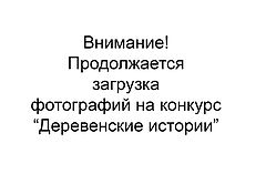 photo "***"
