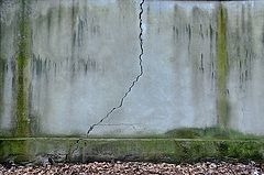 photo "***"