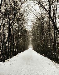 фото "Winter"