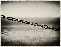 photo "***"