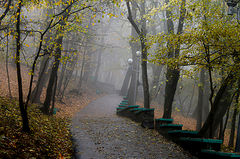 photo "***"