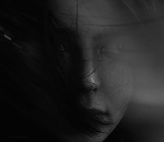 photo "Krivitskiy"