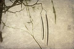 photo "***"