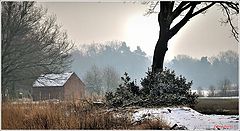 photo "***"