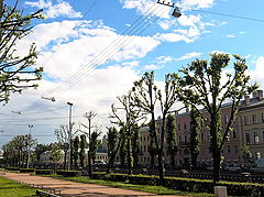 фото "alley_2"