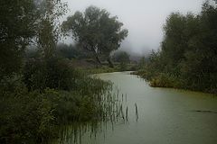 photo "***"