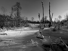 фото "Ручей зимой."