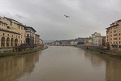 photo "Florence, cloudy"