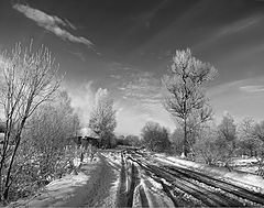 фото "Весенняя распутица"