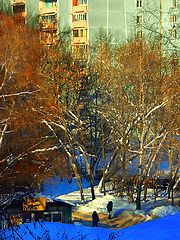 photo "Near the food store"