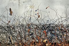 photo "***"