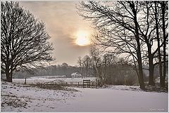 photo "***"