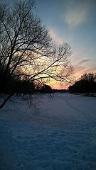 фото "Snow, branches and a little sun"