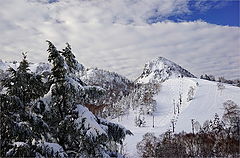 photo "***"