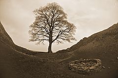 фото "Hadrian's wall 4"