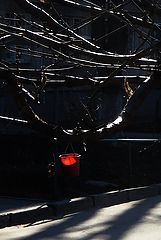 фото "красное ведерко"