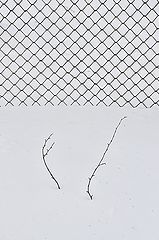 фото "***"