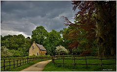 photo "***"