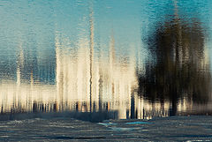фото "***"