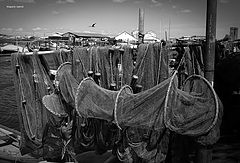 photo "fishermen's tools"