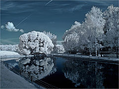 фото "***"