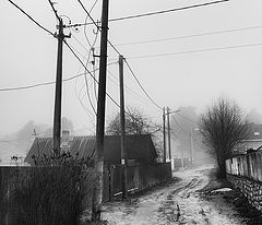photo "***"