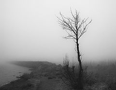 photo "***"