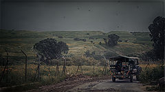 photo "To work"