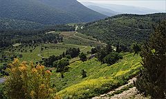 фото "маленькая страна"