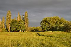photo "***"