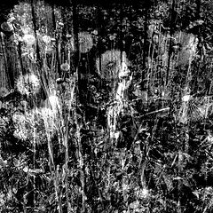 фото "203"