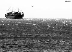 фото "moments on the sea"