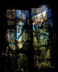 фото "205"